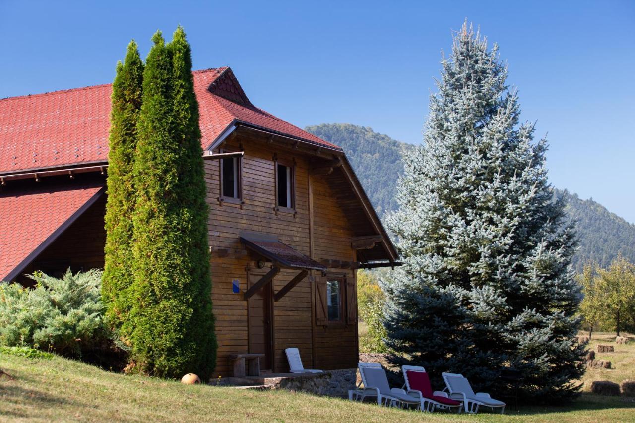 Woodenhouse With Two Apartments Otočac Buitenkant foto